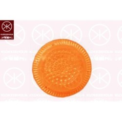 Direction Indicator Light - KK 25070560