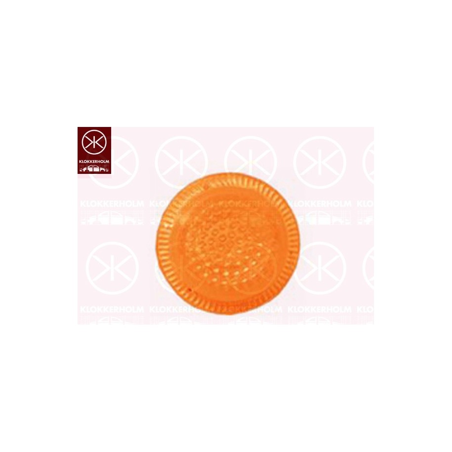 Direction Indicator Light - KK 25070560