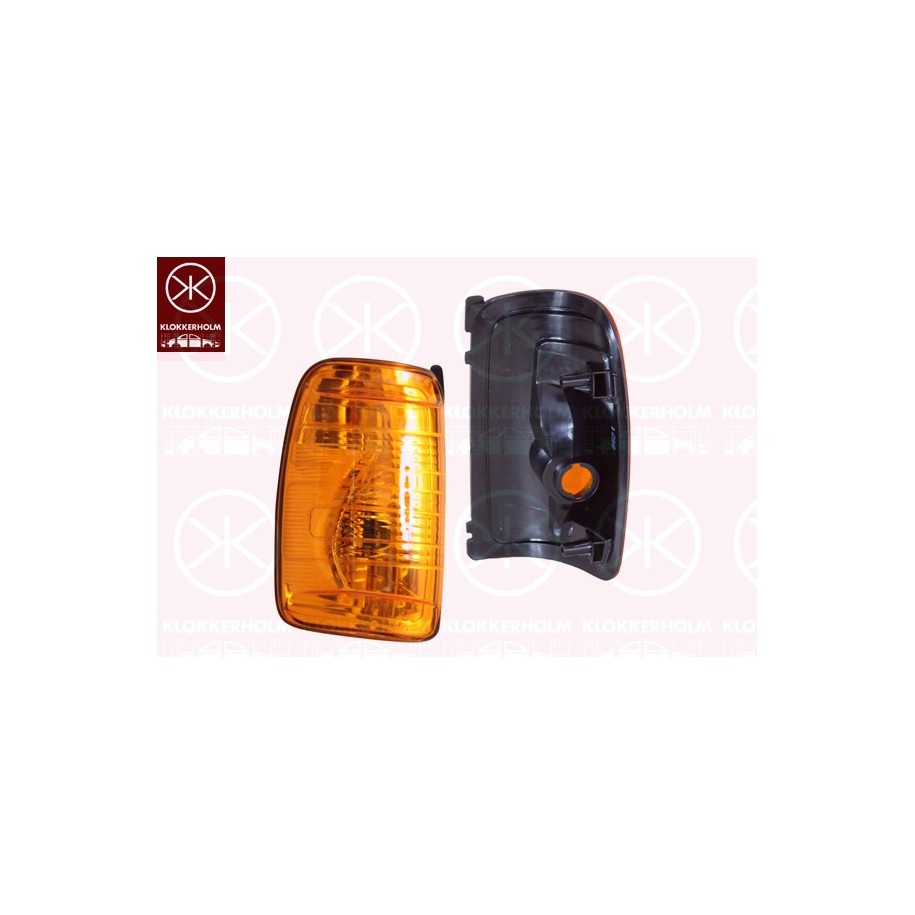 Direction Indicator Light - KK 25121058
