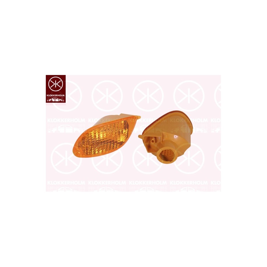 Direction Indicator Light - KK 25320382