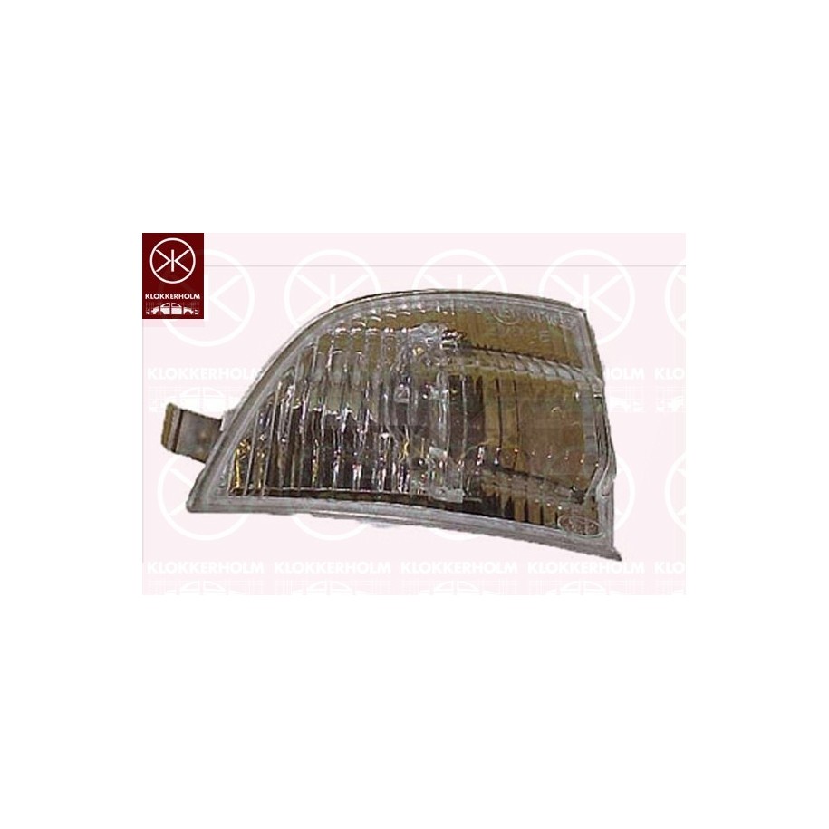 Direction Indicator Light - KK 25331058