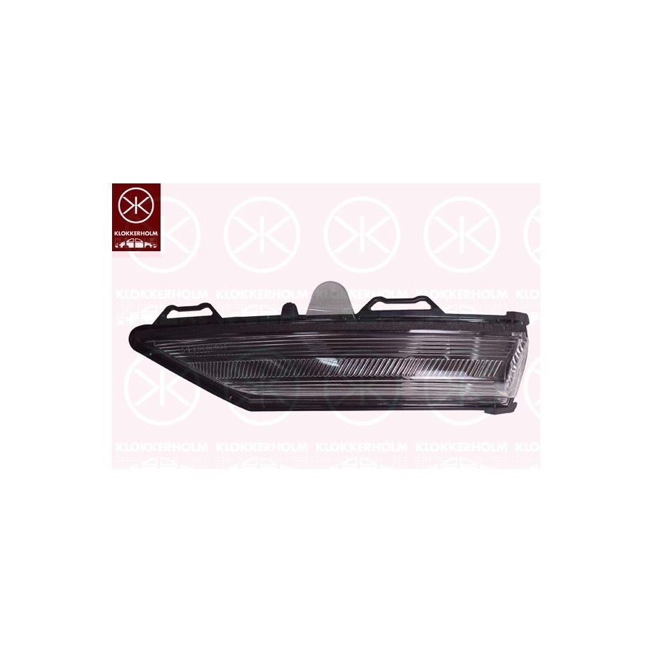 Direction Indicator Light - KK 25661055