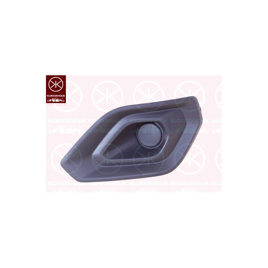 Bumper Grille - KK 2568911