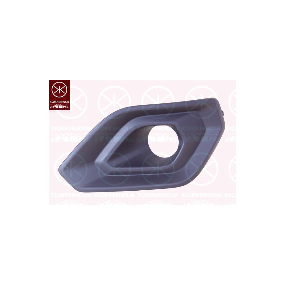 Bumper Grille - KK 2568913