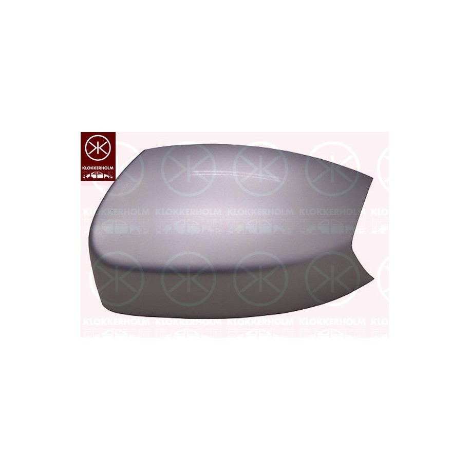Exterior Mirror Cover - KK 25841051