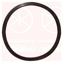 Fuel Sender Seal - KK 25990096