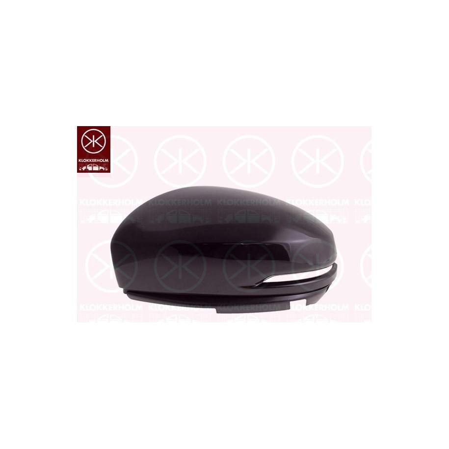 Exterior Mirror Cover - KK 29021051