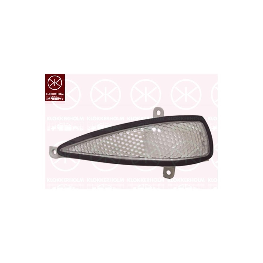 Direction Indicator Light - KK 29391055