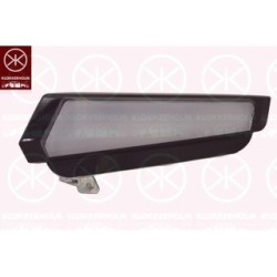 Direction Indicator Light - KK 30820361