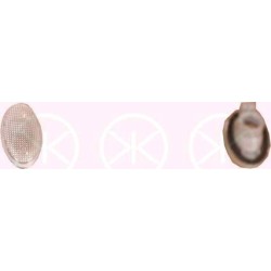 Direction Indicator Light - KK 35050560