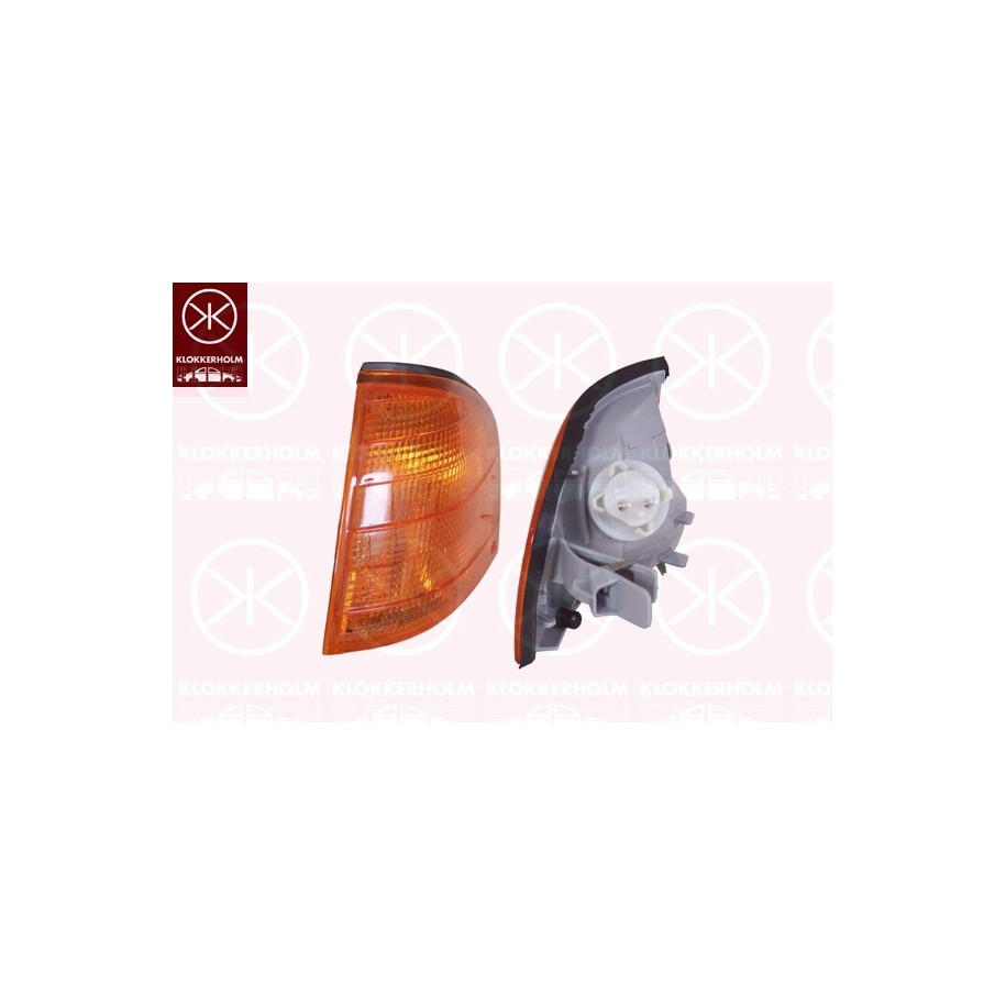 Direction Indicator Light - KK 35120351
