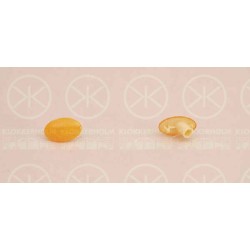 Direction Indicator Light - KK 50220600