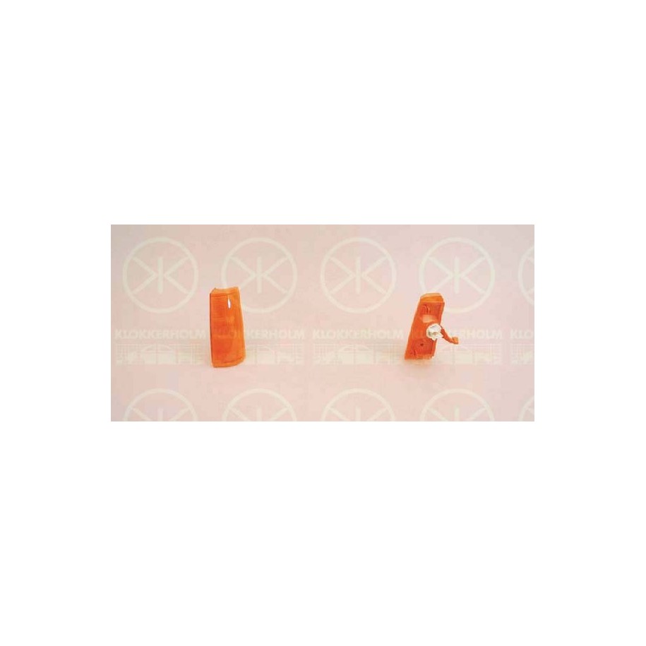 Direction Indicator Light - KK 50480352
