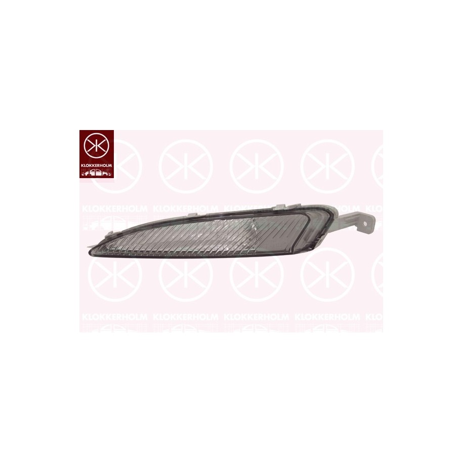 Direction Indicator Light - KK 50530396
