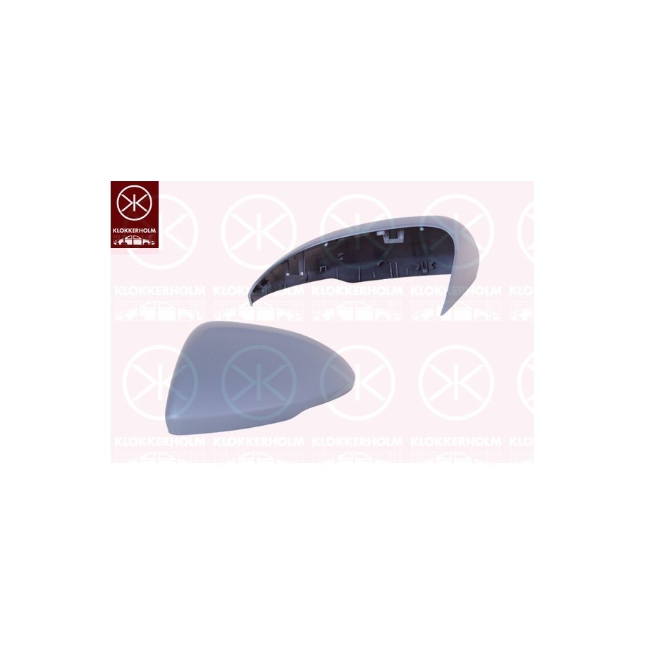 Exterior Mirror Cover - KK 50541051