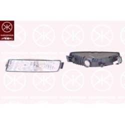 Direction Indicator Light - KK 50890363