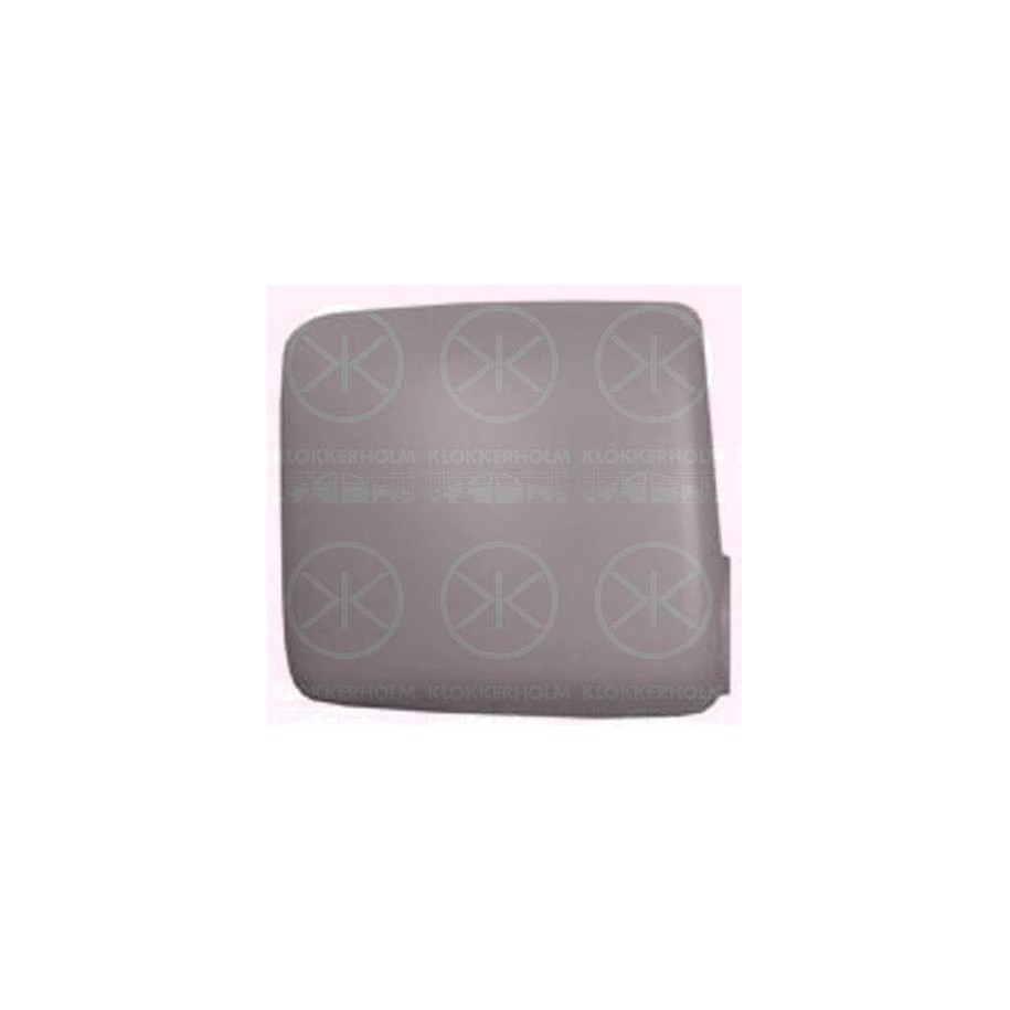 Exterior Mirror Cover - KK 50971053