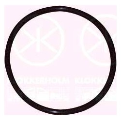 Fuel Sender Seal - KK 50990095