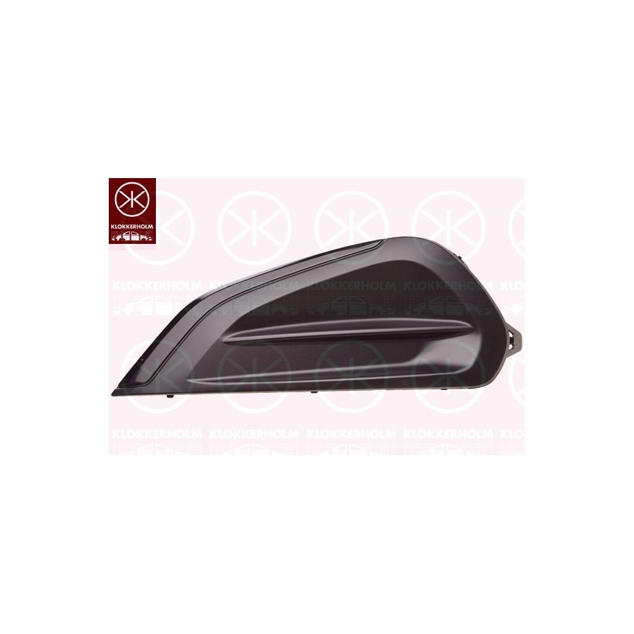 Bumper Grille - KK 55099111A1