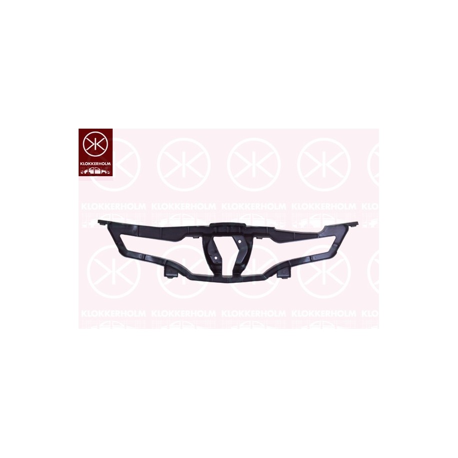 Radiator Grille - KK 6034996