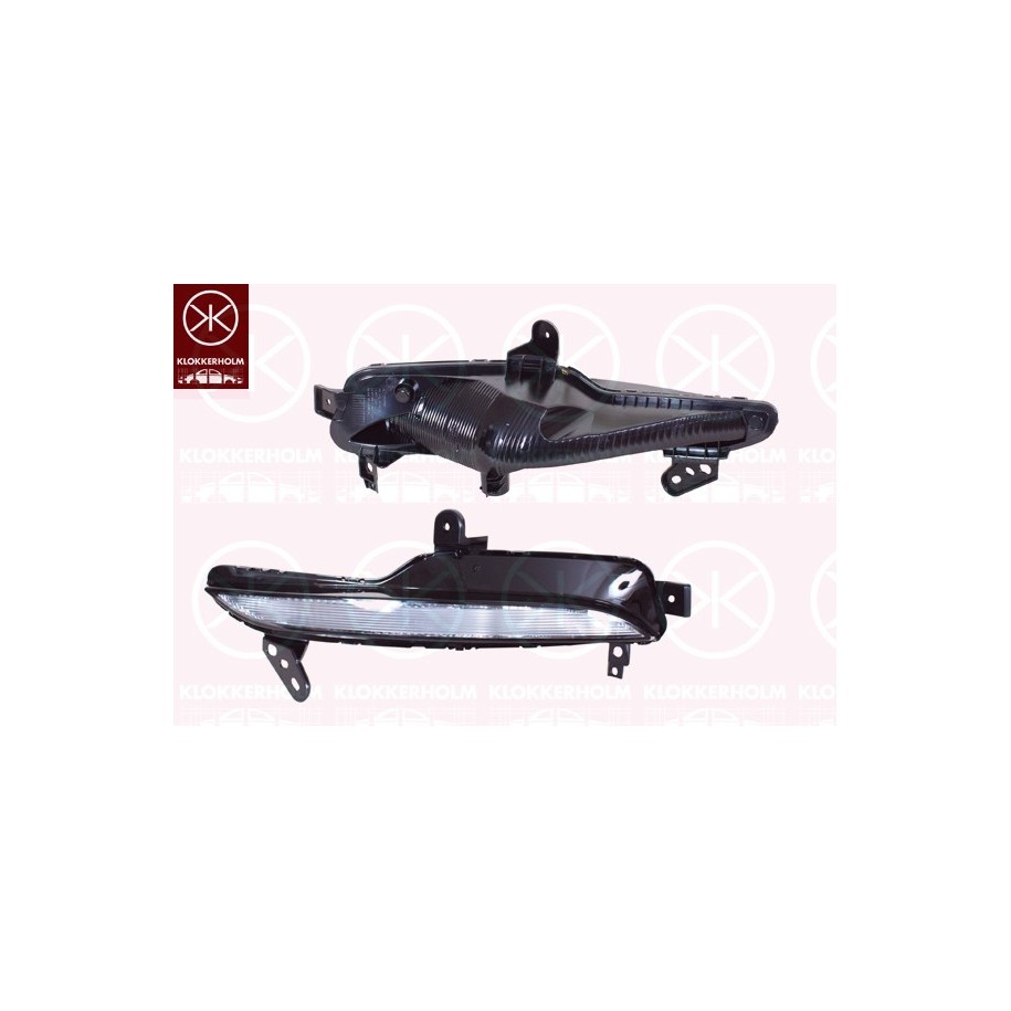 Direction Indicator Light - KK 60460361