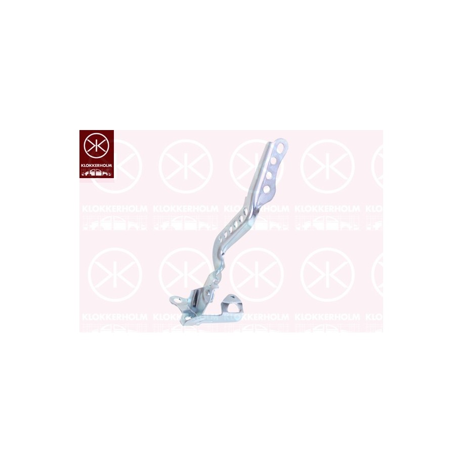 Bonnet Hinge - KK 8102451