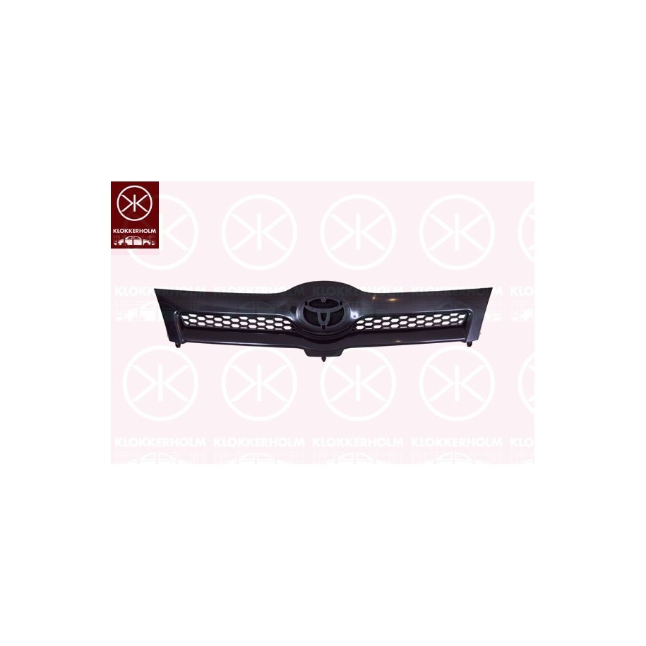 Radiator Grille - KK 8119990