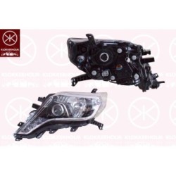 Headlight - KK 81280152