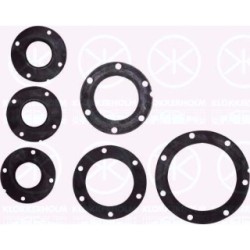 Fuel Sender Seal - KK 81420092