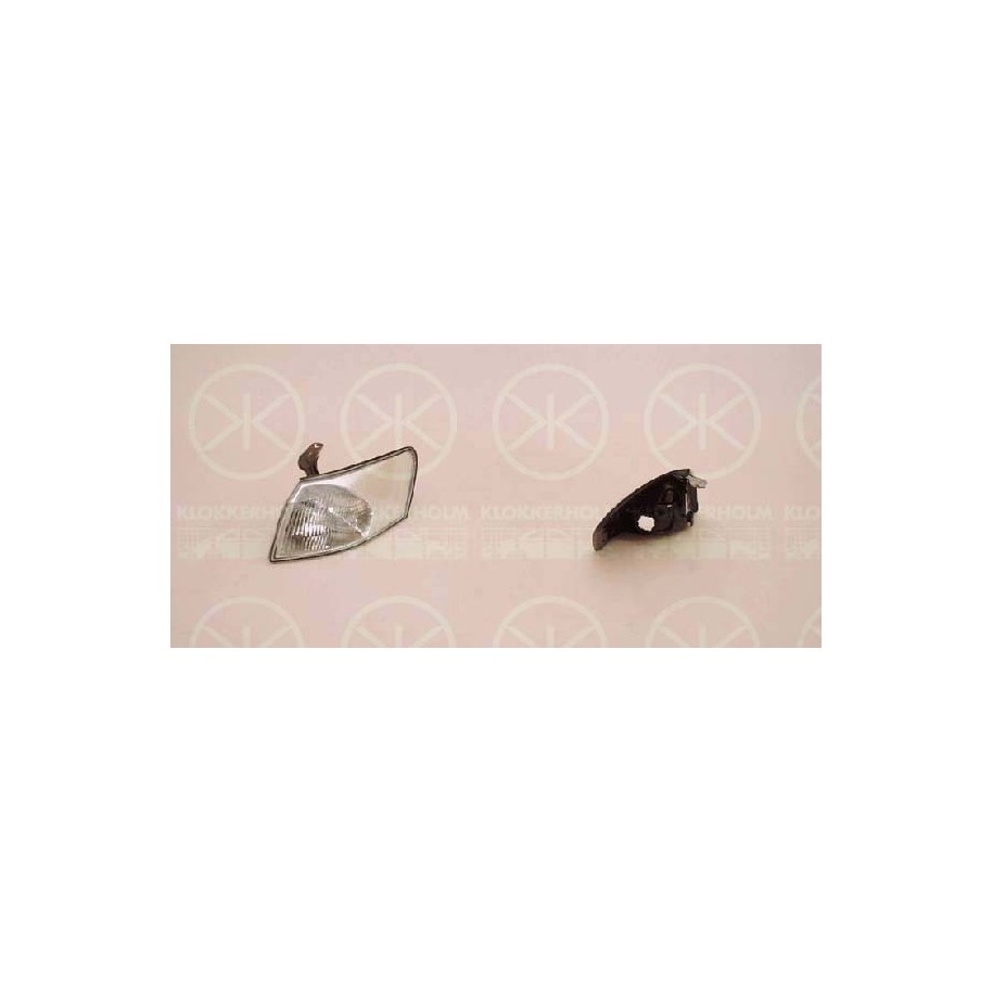 Direction Indicator Light - KK 81620391