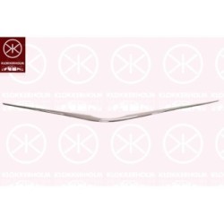 Radiator Grille - KK 8164995A1