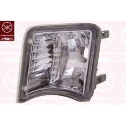 Direction Indicator Light - KK 81690391