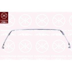 Bumper Grille - KK 8177911