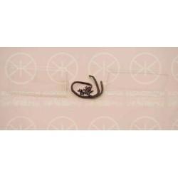 Headlight Diffusing Lens - KK 90400252