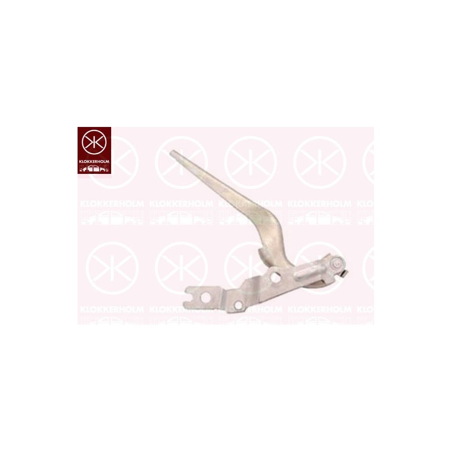 Bonnet Hinge - KK 9525451