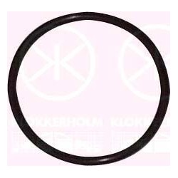 Fuel Sender Seal - KK 95990095