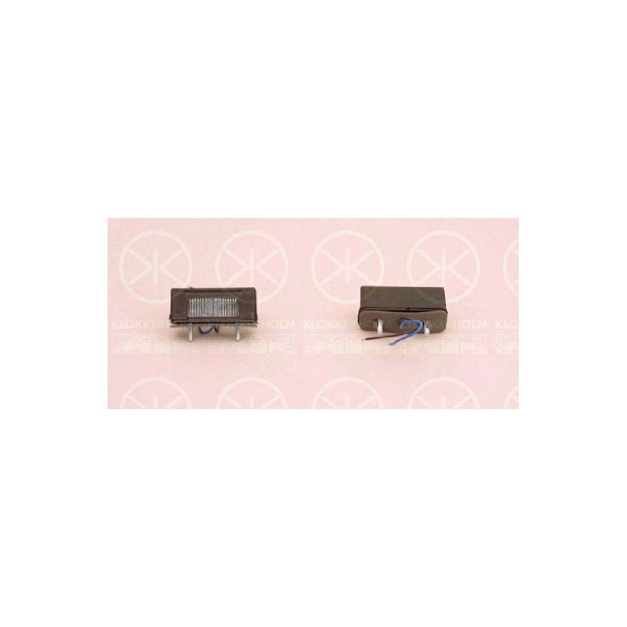 Licence Plate Light - KK 96000850