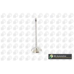 Intake Valve BGA V090105 for BMW OE 11347552952