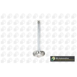 BGA Intake Valve V017062 for FIAT