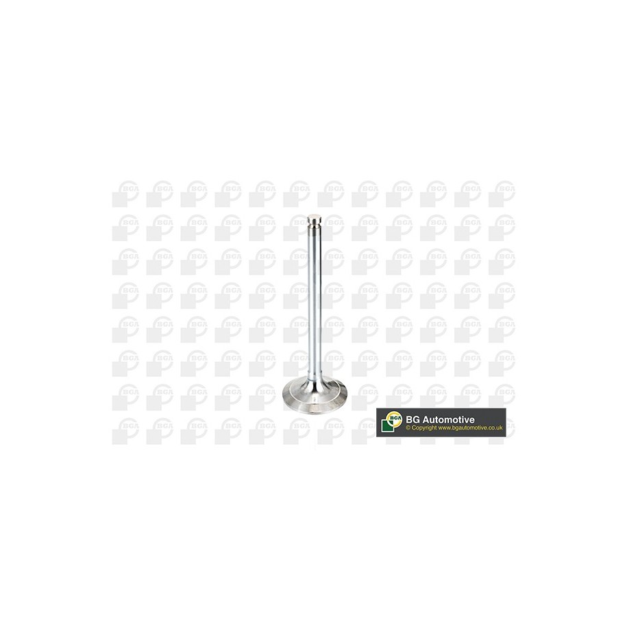 BGA Intake Valve V017062 for FIAT
