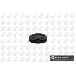 BGA Rocker Arm Shaft Mounting Bore Plug PL4601 for RENAULT