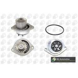 BGA Water Pump CP3200 for PEUGEOT