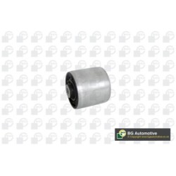 Control Trailing Arm Bush BGA BU9669 for AUDI