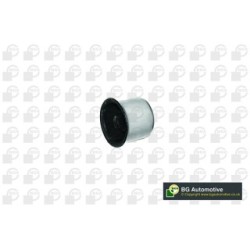 BGA Control Trailing Arm Bush BU9604 for VW