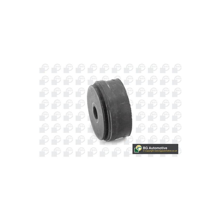BGA Control Trailing Arm Bush BU5423 OE GEA134250-Bush