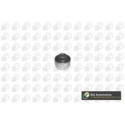 Control Trailing Arm Bush BGA BU2371 for FORD OE 1000445