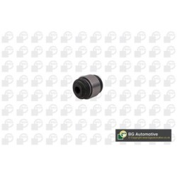 BGA Control Trailing Arm Bush BU0928 for BMW X3