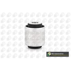 BGA Control Trailing Arm Bush BU0174 for AUDI