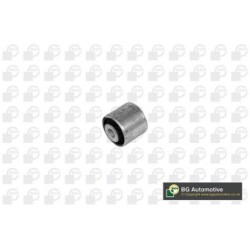 Control Trailing Arm Bush BGA BU0138 for AUDI