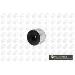 BGA Control Trailing Arm Bush BU0125 for AUDI